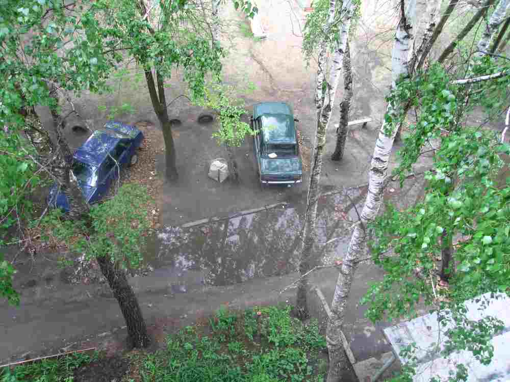 2006 г. 5-й подъезд. Из этих деревьев осталось только 2 березки 2006 г. 5-й подъезд. Из этих деревьев осталось только 2 березки