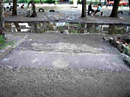 2006 г. Неистребимая лужа у 5-го подъезда